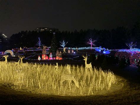 Glowing with Magic: The Captivating Light Spectacular of a Night Garden